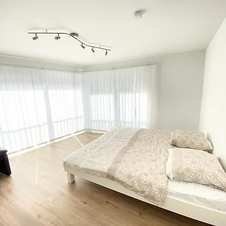 Guest house Modern One Bedroom + Bathroom Apartment, 10 Min From Basel