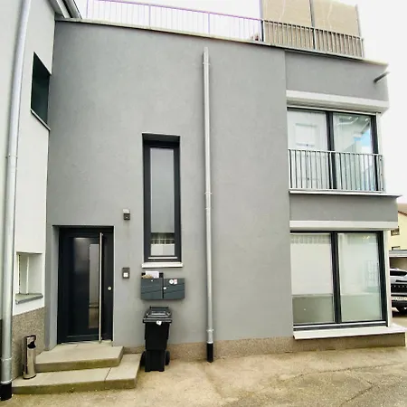 Modern One Bedroom + Bathroom Apartment, 10 Min From Basel Konukevi Grenzach-Wyhlen