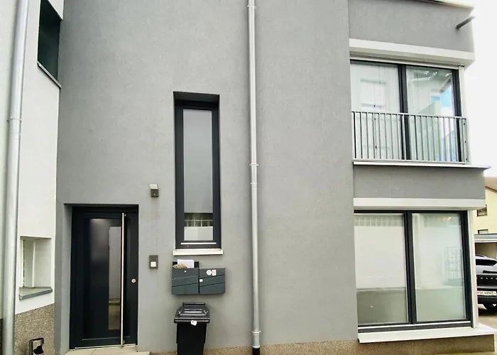 Modern One Bedroom + Bathroom Apartment, 10 Min From Basel 招待所 格伦扎克·威伦